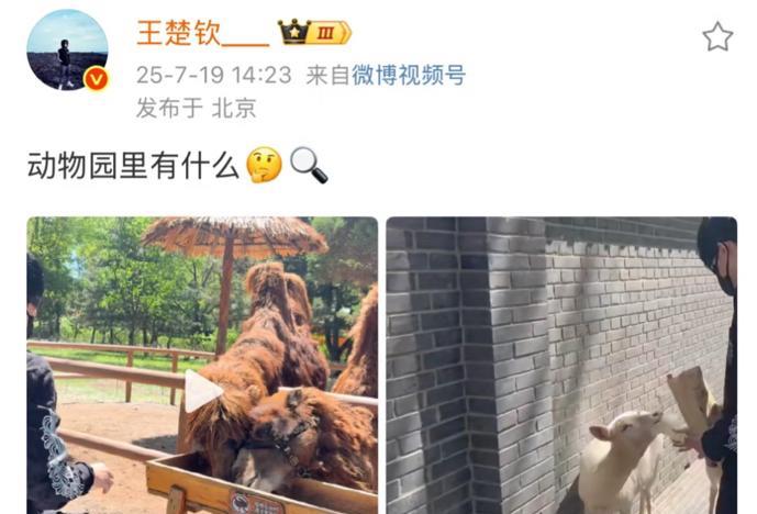 去北京野生动物园玩了，
这是王楚钦之前陪爸爸妈妈一起去
动物园的那一次吧！
去玩