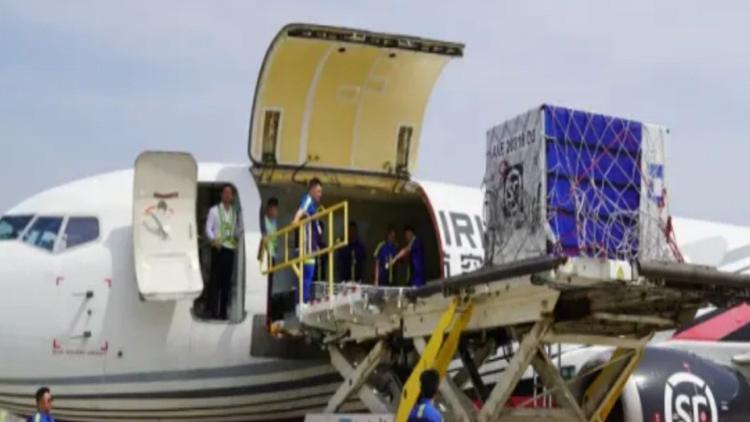 回望2025②｜菏泽这一年，数有所“靓”