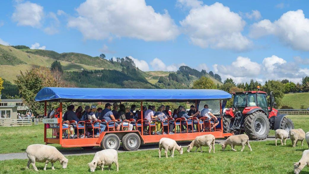 1-2月都冲新西兰！新西兰遛娃太快乐了！