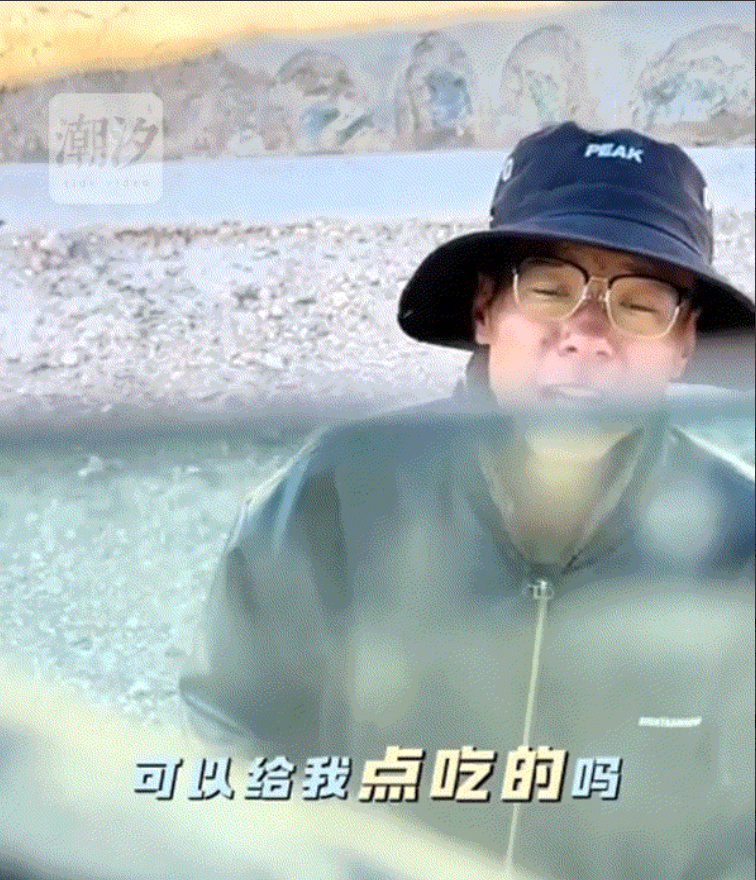一大哥开着车进入无人区，途中大哥便看到一名男子站在无人区路边向他招手，于是大哥赶