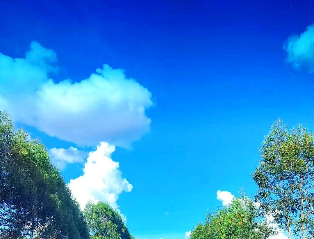 退休金两千，怎么活？
晚上十点，老李穿着那件洗得发白的西装，独自在小区转圈。
十