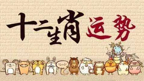 善韵缘|12生肖2026年运程关键词！看看你的是什么？