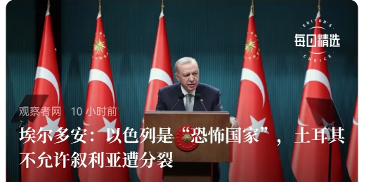 埃尔多安：以色列是"恐怖国家"，土耳其不允许叙利亚遭分裂