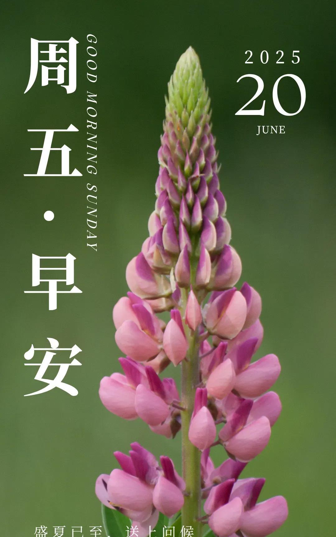 走过时光的冷暖，最终发现，豁达的心境才是最美的；往后的日子里，在清凉的微风中，过