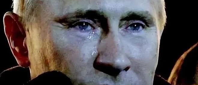 俄乌冲突中让俄罗斯普京想不到的有:

1、乌克兰对俄罗斯结下血海深仇，并顽强