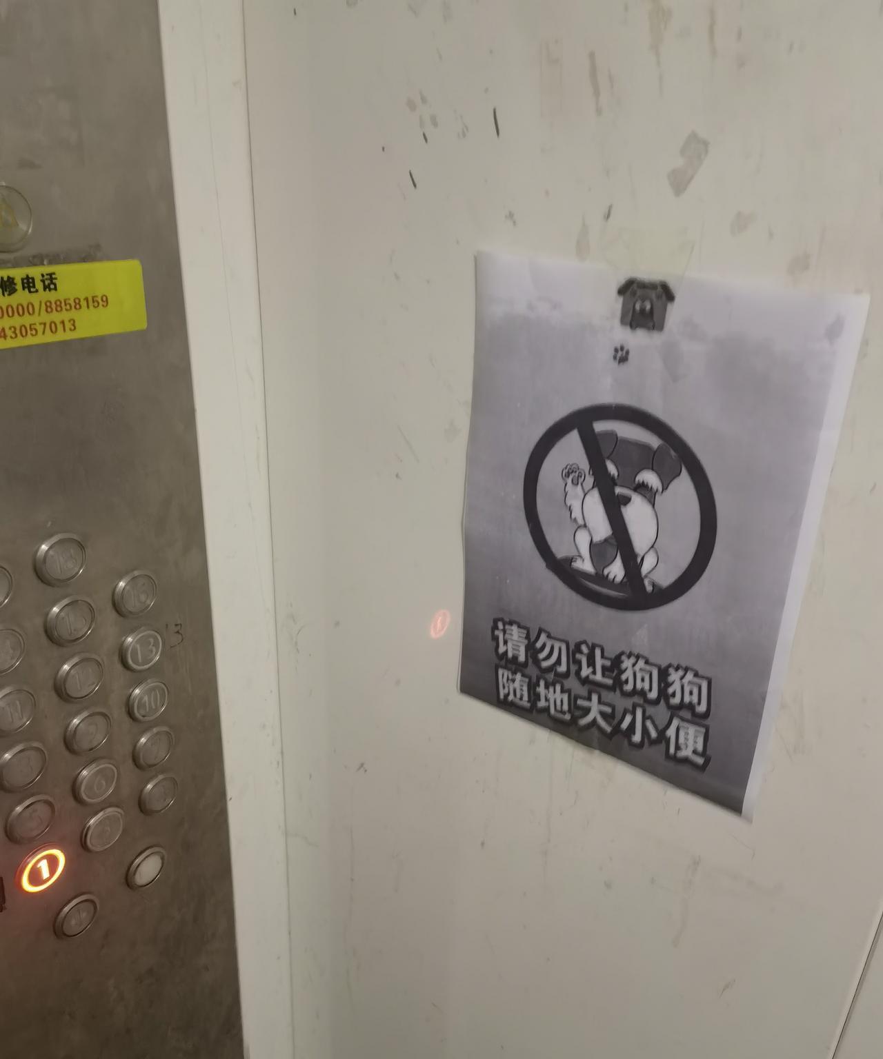 那些养狗的能不能有点公德心？？？？
今天着急出门，走的快了点，没有注意脚下的路，