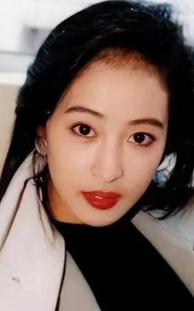 黎美娴，1966年生于香港，祖籍广东高明。1984年入无线第2期艺员进修班，19