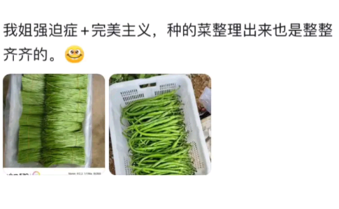 真的会对工整的小摊有好感