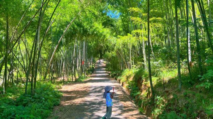 长沙高质量秋日遛娃攻略来了，天气正好快收藏！