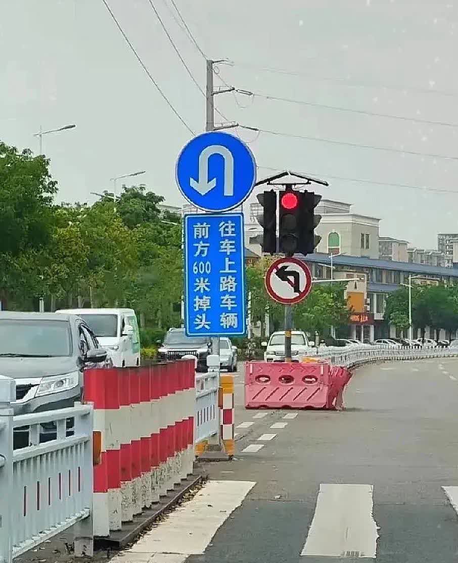 救命！刚持证上岗没几天，今天开车上路，看到个标志直接傻眼。翻遍了驾校发的小本本，