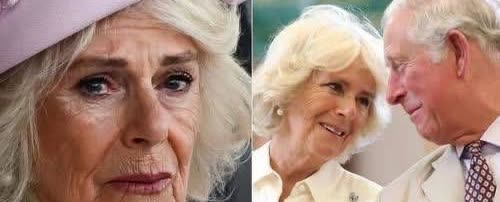 卡米拉虽为英国王后，但是英国王室里有三个人从不对她行礼鞠躬。
首先是夏洛特公主