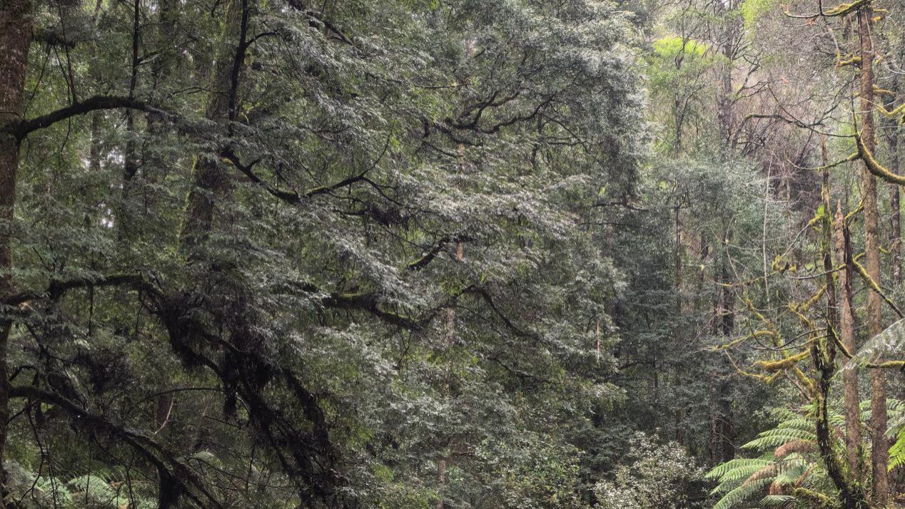 影像创作者的年底复盘：如何用华为云空间打破手机存储空间的物理极限？