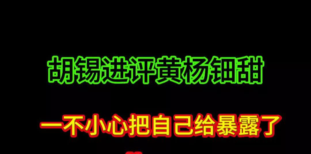 胡锡进写了篇关于黄杨钿甜的文章！
一不小心把自己给暴露了[捂脸]

看前面