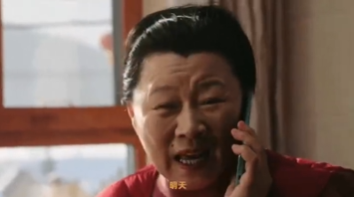 海燕高兴坏了，和大家商讨如何迎接儿媳妇，都快不知道天地为何物了。 ​​​