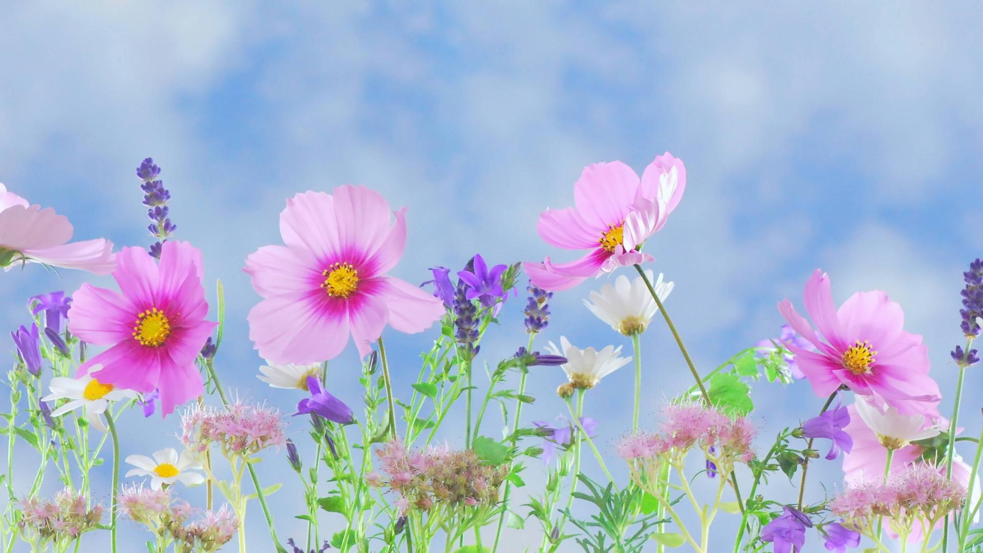 党建工作写作提纲