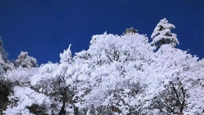 新年的假期数九寒冬，大地银装素裹，万物沉寂于一片洁白之中