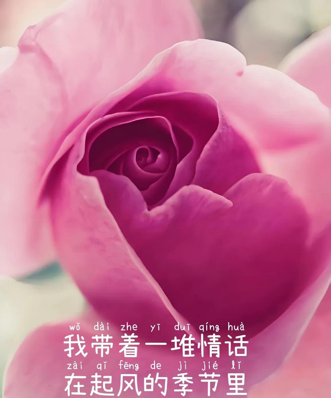 有个傻瓜想你了
一缕思念
层层包裹心间
放下情，太难
忘记你，更难
每个无眠的长