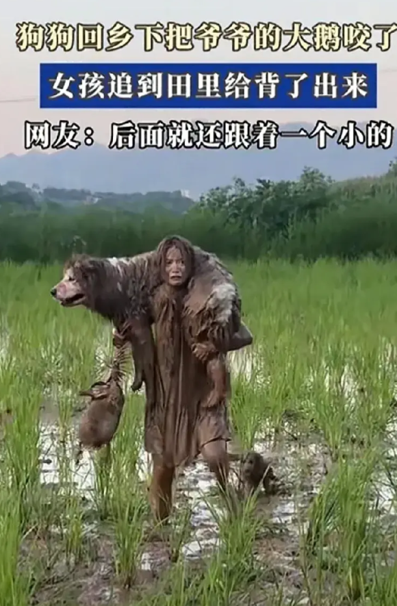 年轻漂亮的城里女孩，带着宠物狗回到乡下，没想到一天不到自己和狗狗都变成了泥人，还