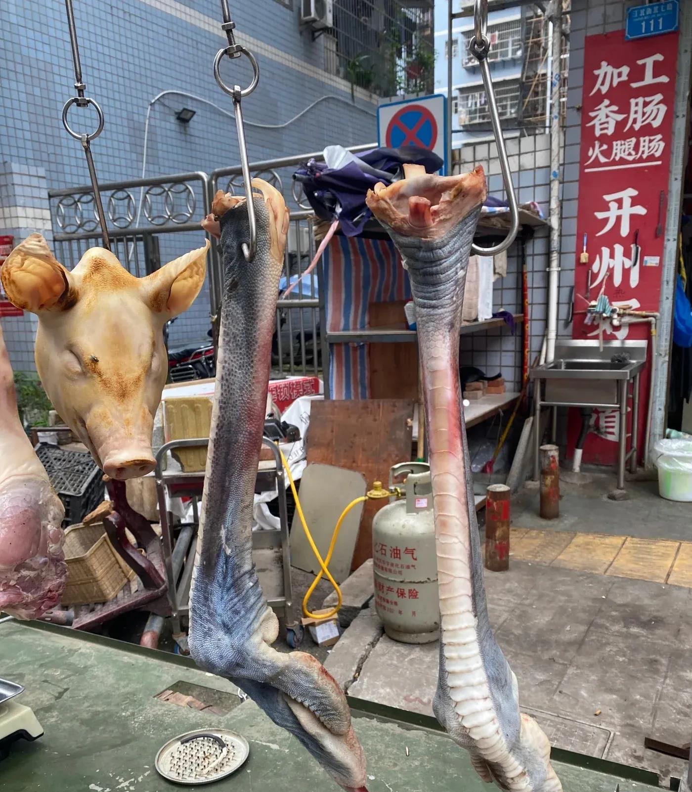 这是什么腿呀？
有知道的吗？