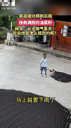 不可思议！贵州，一男孩告诉家人马上要下雨了，随后一起将满院油菜籽收起，刚好收完时