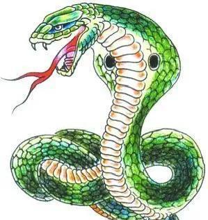 生活中混进了讨厌鬼，是亲戚或者朋友呢。看你过得舒坦，条件差不多就嫉妒，还拖后腿。