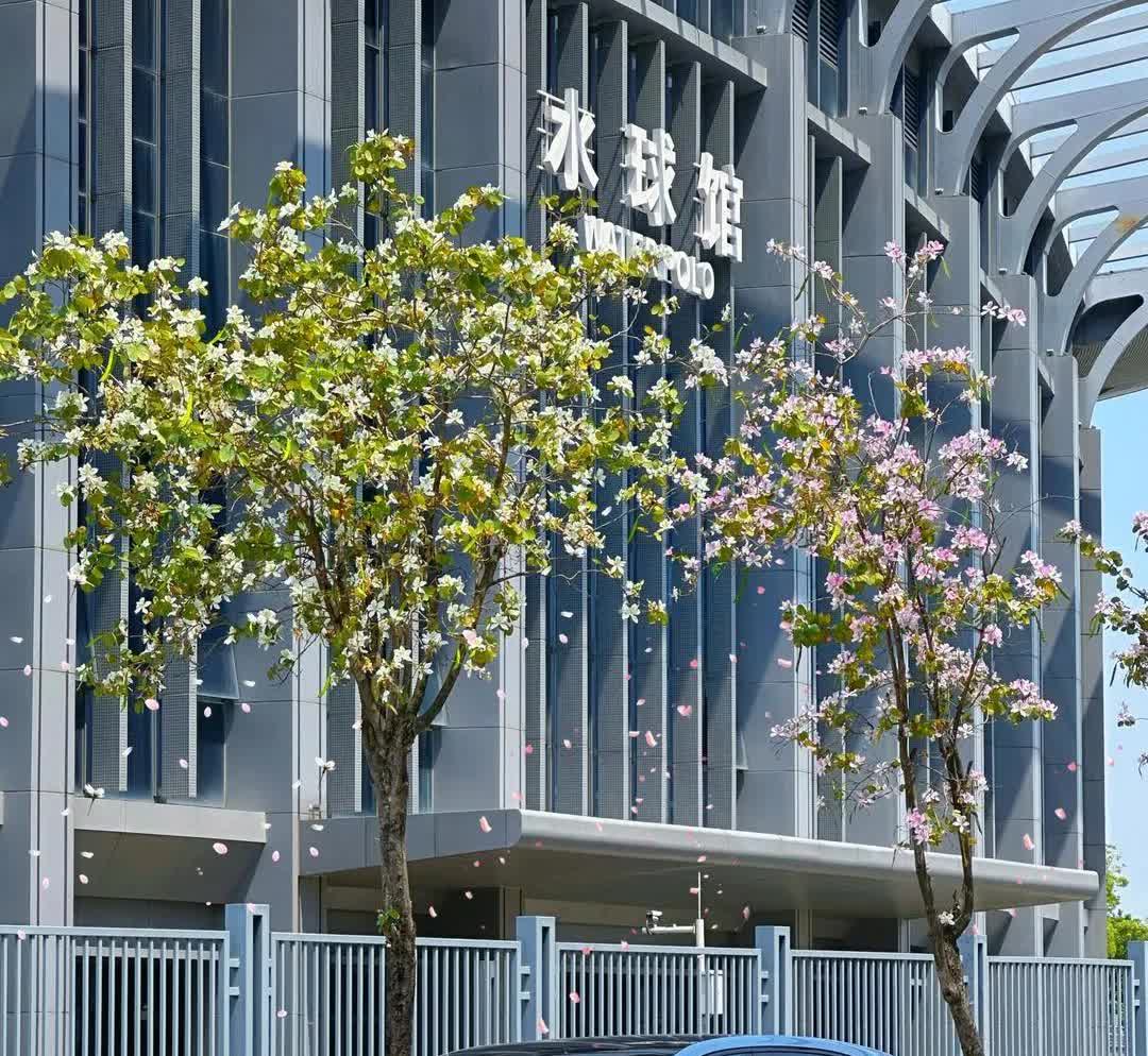 外媒称中国车企的路已经完全走偏了
中国车——不研究发动机
中国车——不研究变