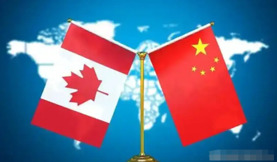 3月8日，国务院关税税则委员会办公室一纸公告，让加拿大彻底懵了！为啥？因为我们对