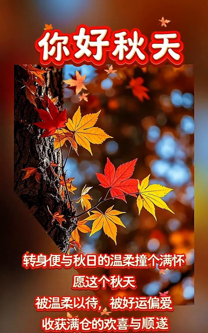 你好秋天。
转身便与秋日的温柔撞个满怀。愿这个秋天被温柔以待，被好运偏爱，收获满