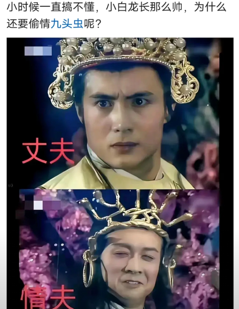 董洁也许能回答你