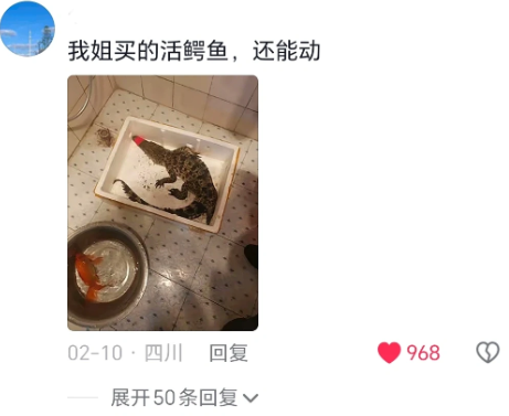 如果长辈学会了网购，会是一种什么情况？