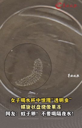 “太吓人了！”云南大理，一女子起床前喝了半杯隔夜水后，竟然惊奇地发现杯子里面有一