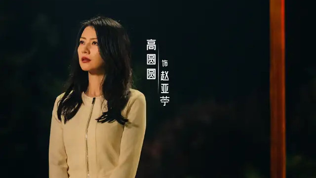 《绝密较量》直到被赵亚苧暗杀，杨光才发现，身边的内奸不止一个