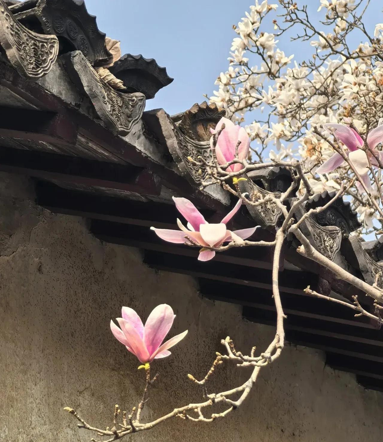 今年清明，在三天假期上。我特意调休了一天年假，在4月3日赶回了家，和家人一道回了