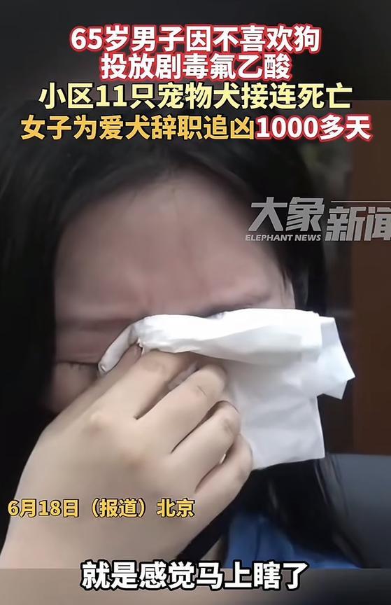 爱犬被毒死后，北京一女子辞职追凶1000多天，坦言：自己很伤心，眼睛快要哭瞎了。