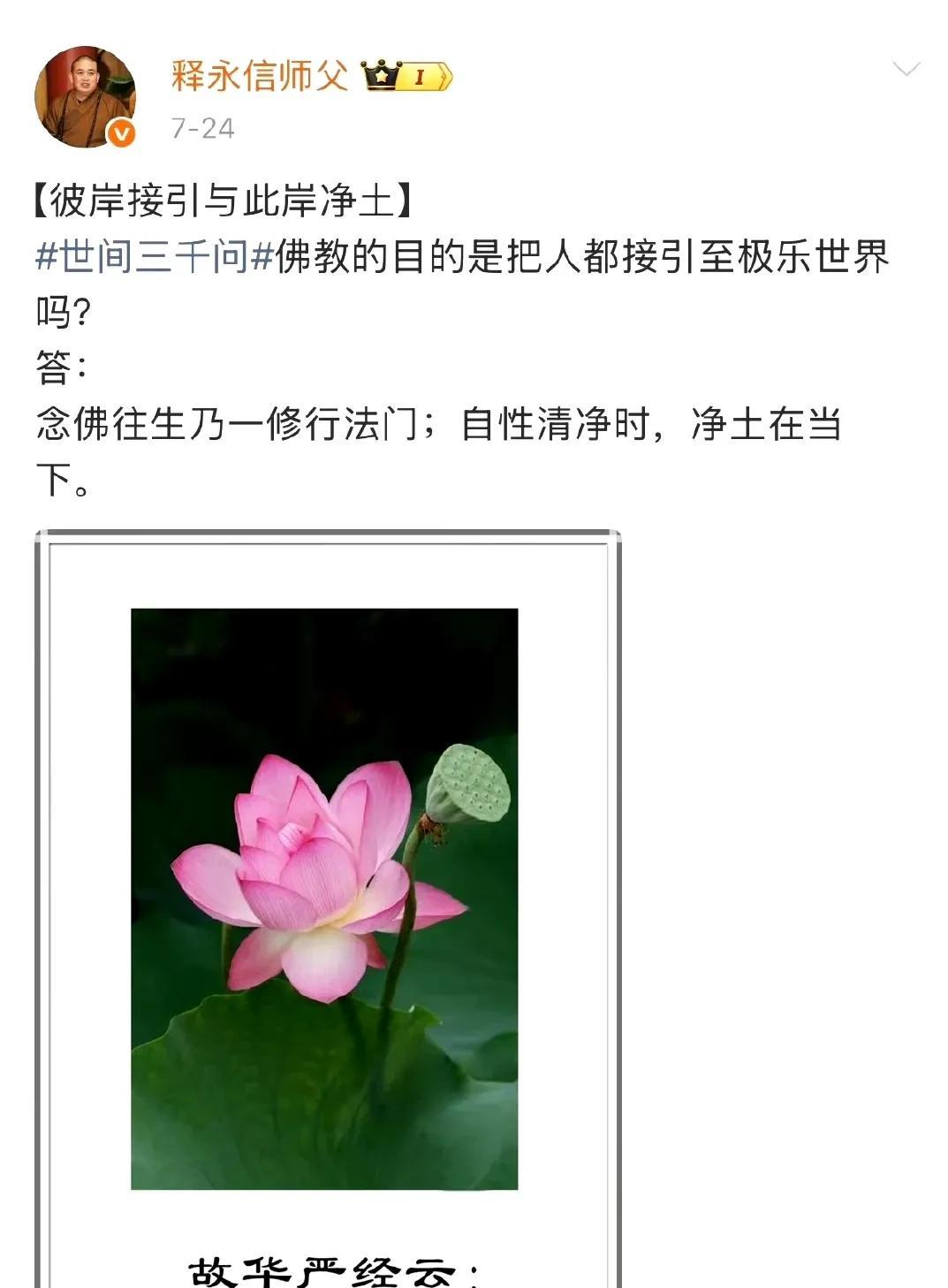 看到大和尚天天发的博文，真是一个笑话[笑哭]