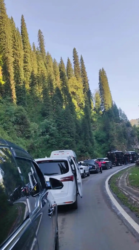 那个云A车主可能永远不知道。
他们想换人就停在路中间换了，后车喇叭按了四十分钟，
