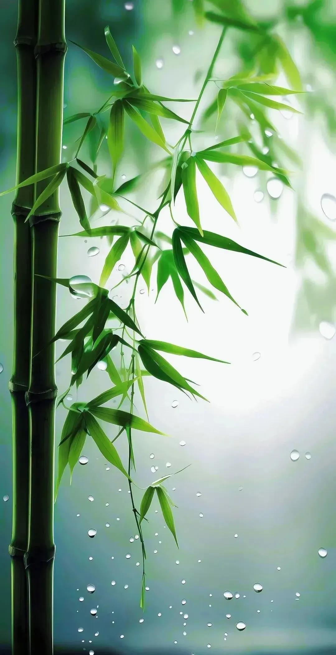 春风万里瑞气盈，福满人间烟火暖。星河璀璨，山河壮丽，心情愉悦，心想事成，随心所欲