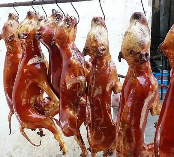 玉林狗肉节要继续办下去！而且要大办，要越办越好！
狗肉和牛肉羊肉猪肉是一样的，都