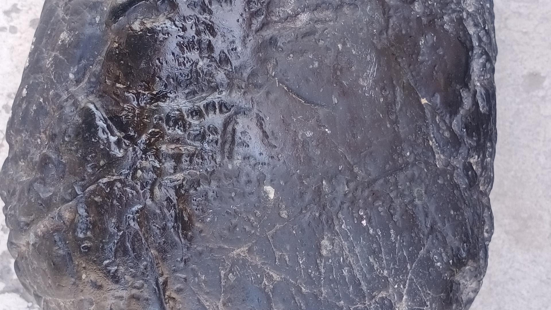 民间藏家（陨石）