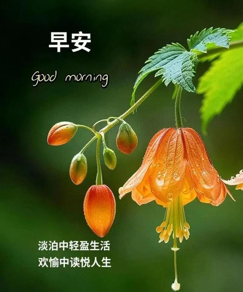 #人贩子死刑你支持吗#我更支持重大贪官判死刑。因为大贪官危害到了执政根基执政地位