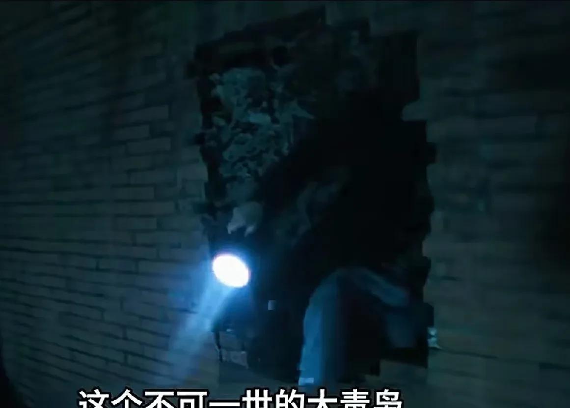 《扫毒风暴》
大结局这段剧情，我有个问题不太明白，
林强峰找到卢少骅、王林住的防