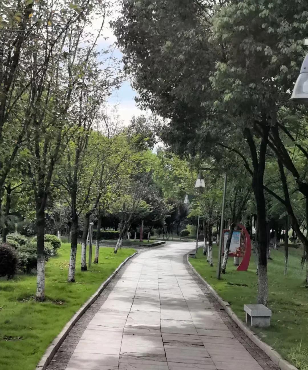 原本光鲜亮丽的一个人，因为犯错误，变成现在这个样子，代价也太沉重了。
小区里有一