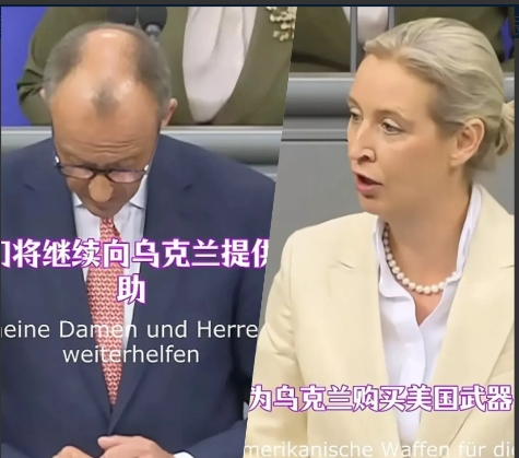 德国铁娘子魏德尔发表惊人言论：领导人应该是利己主义者
近日，德国铁娘子魏德尔在议