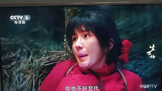 不明白导演为什么让39 岁的杨幂演 19 岁的宁绣绣，难道就没有年轻演员了吗？女