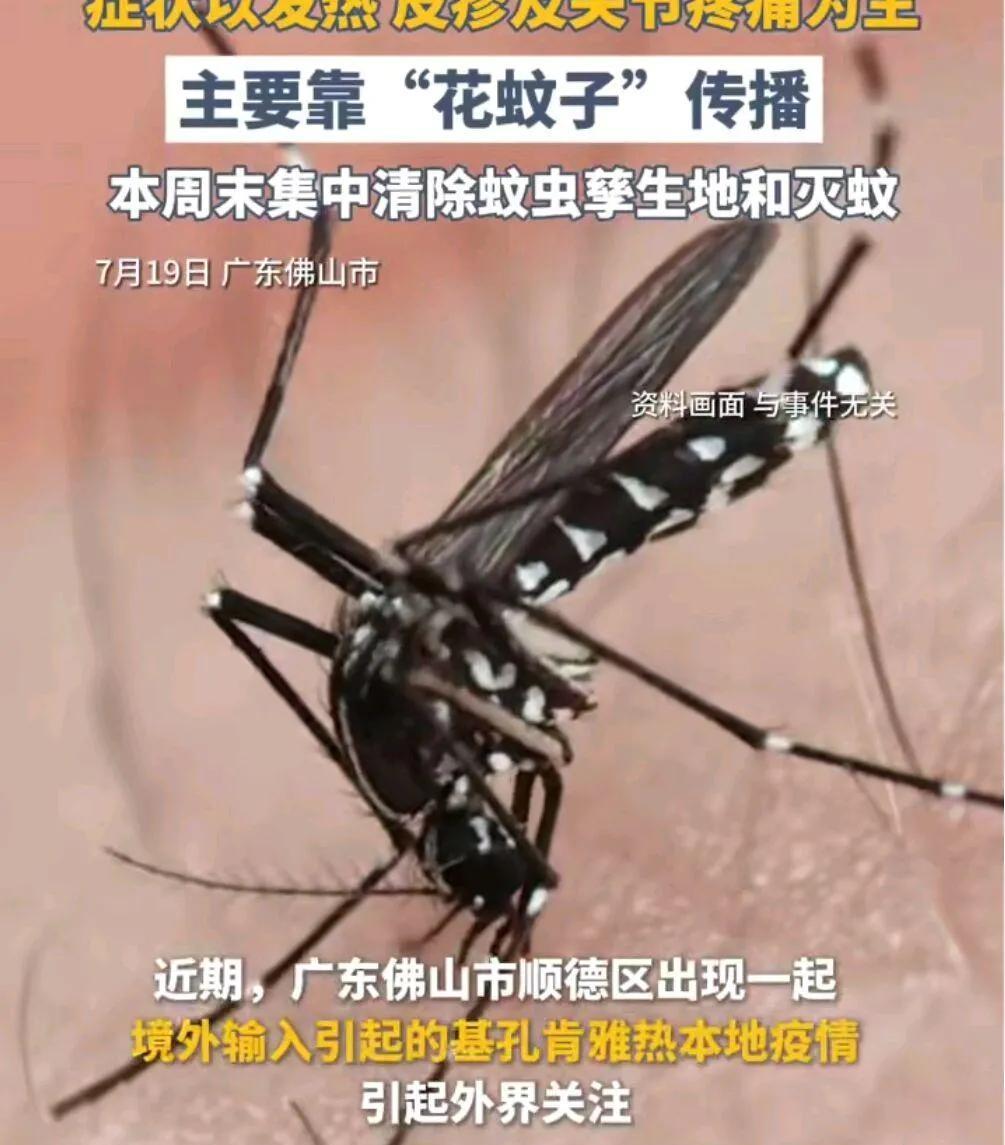 佛山已确诊1199例，个人感染风险持续上升！
近期，佛山市顺德区出现一起境外输入
