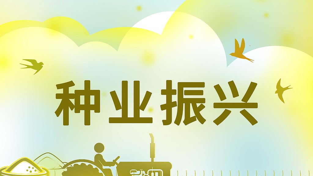 粮食安全再升级！今年春耕要这样