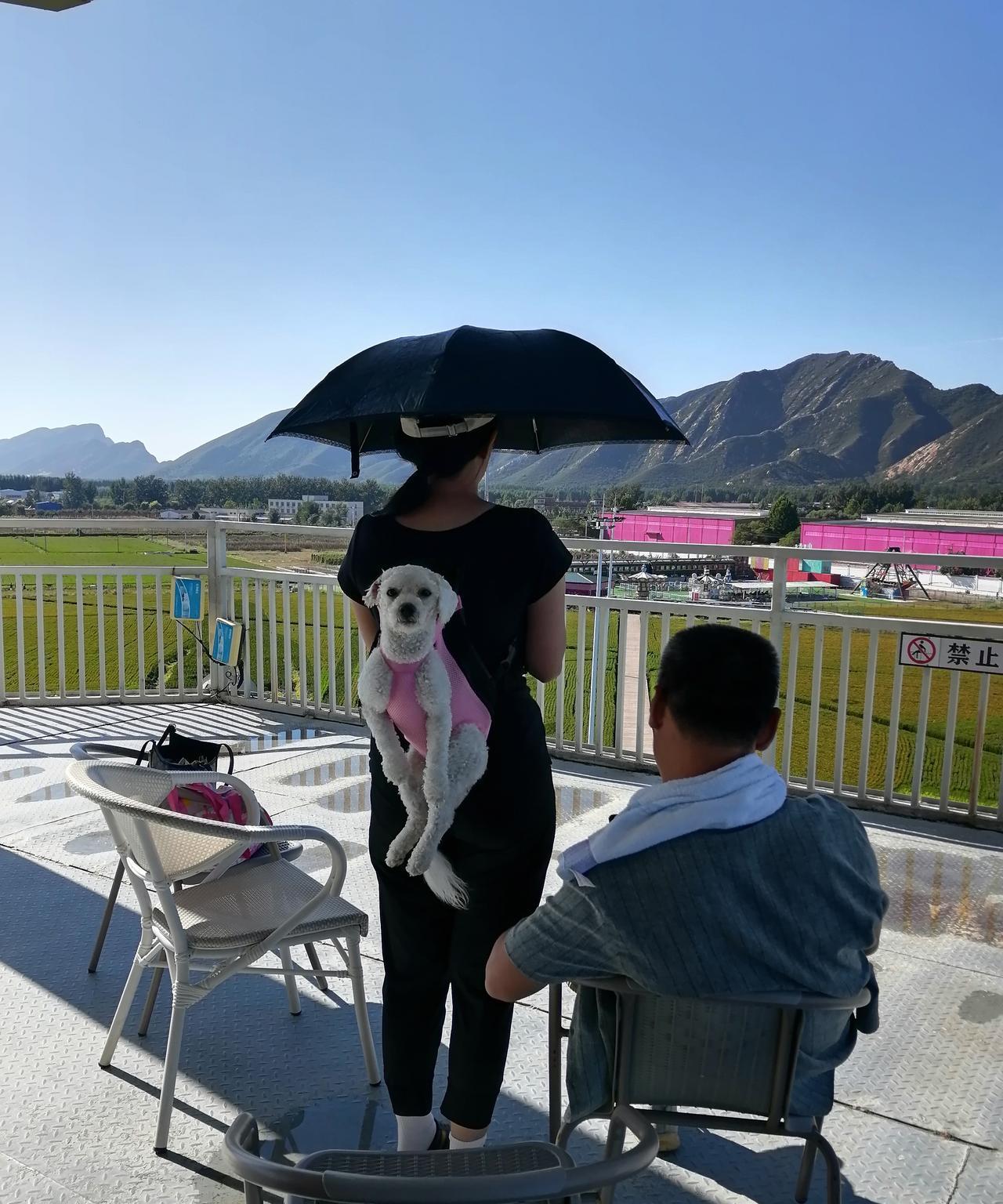 喜欢，会换来有恃无恐。不喜欢，会换来敬而远之。
这个道理在我家狗狗身上，得到了充