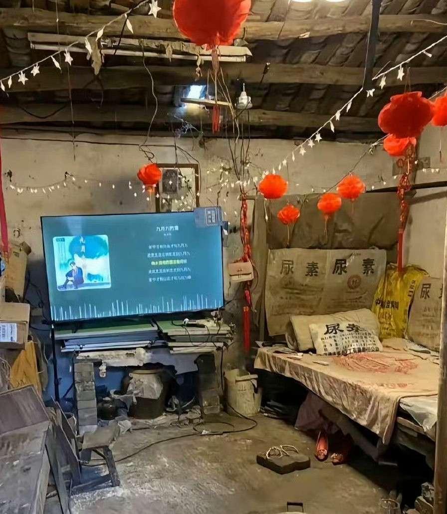 想出门打工，又怕电视被偷[思考]