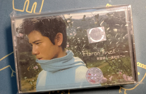 这组写真很萌当我随便拍的吧