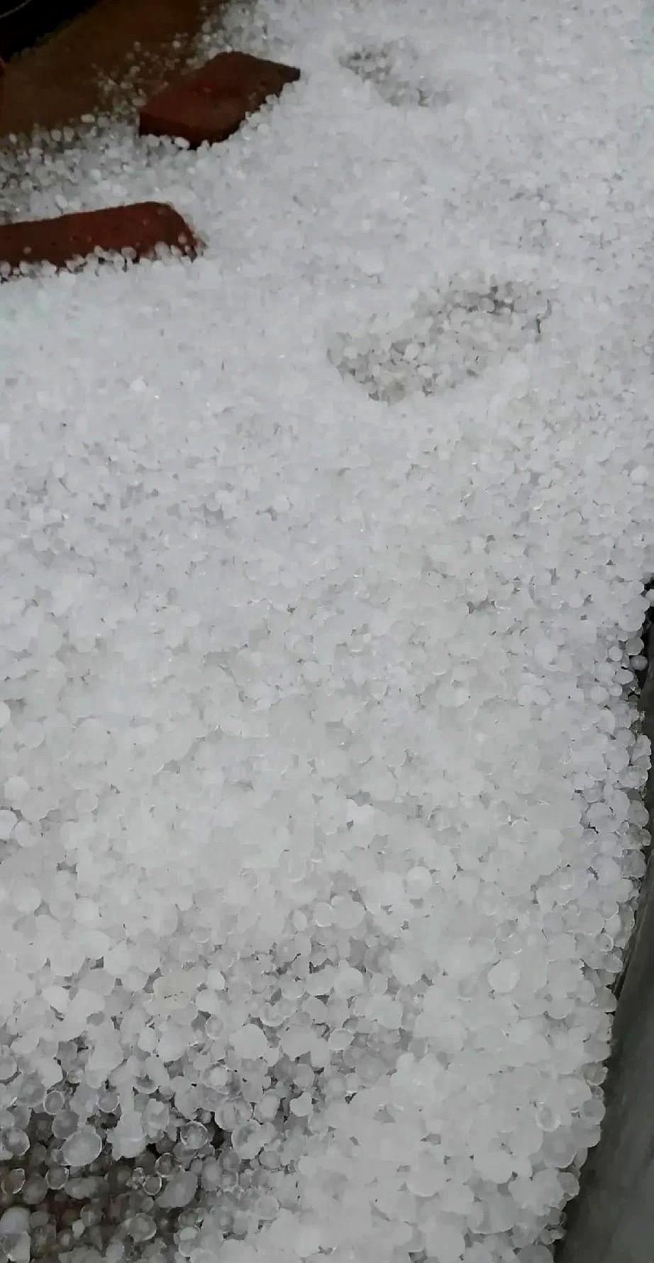 昨天下午河北东北部遭遇强对流天气，迁安、昌黎狂风暴雨加冰雹，农作物又遭殃了！
图